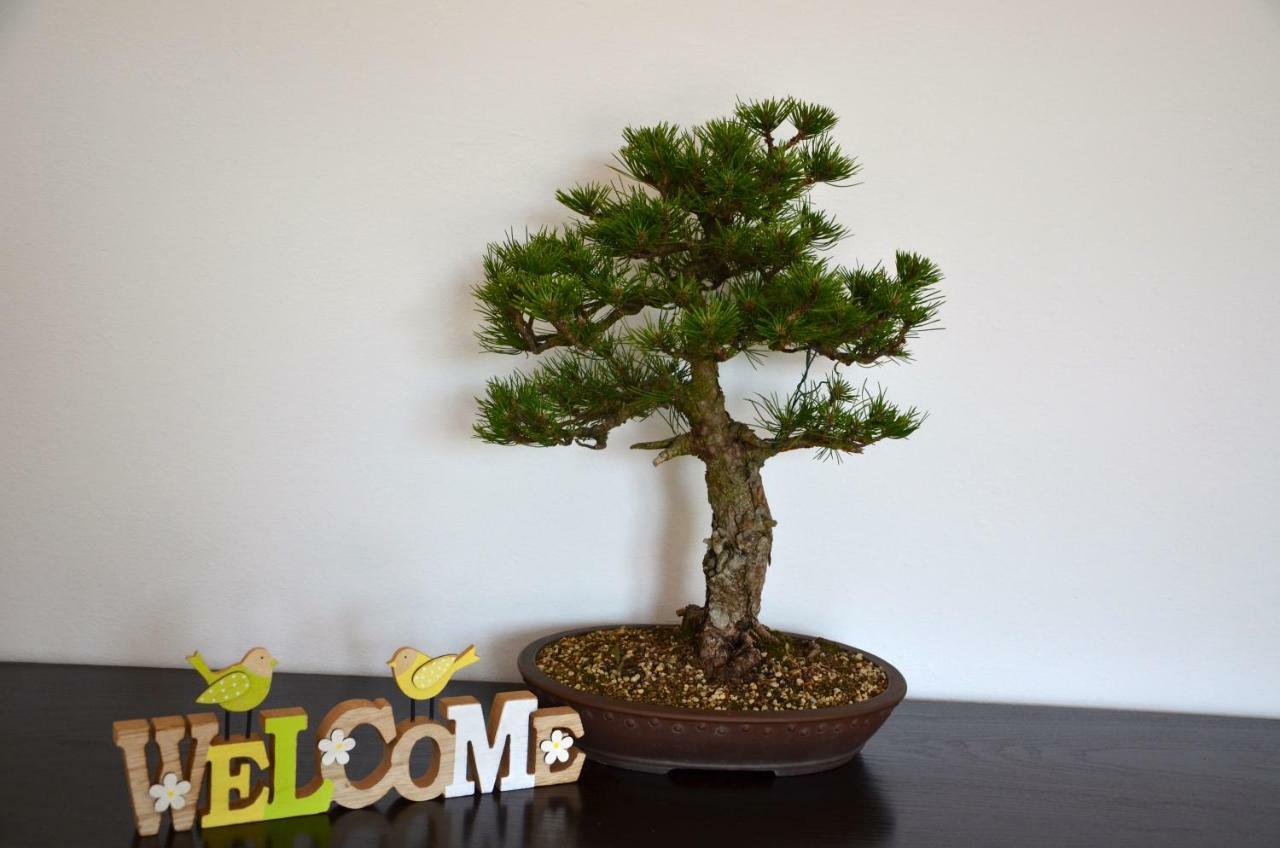 Bonsai House Leilighet Portorož Eksteriør bilde